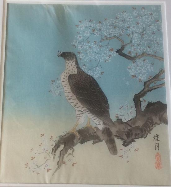 Hawk and Plum Tree