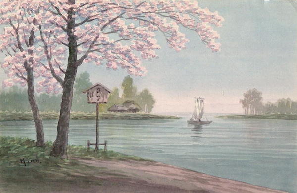 Cherry blossoms by river