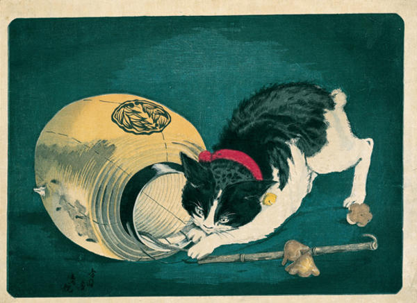 Cat and Lantern