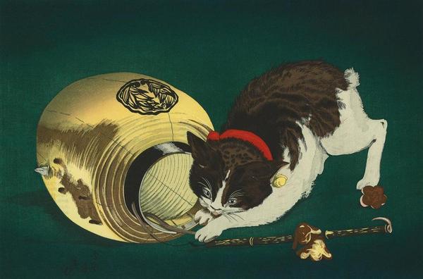 Cat and Lantern