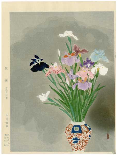 Irises