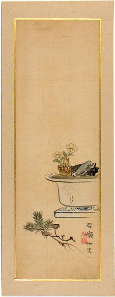 Flower Pot
