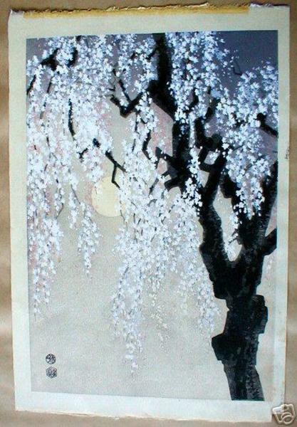 Cherry tree at night