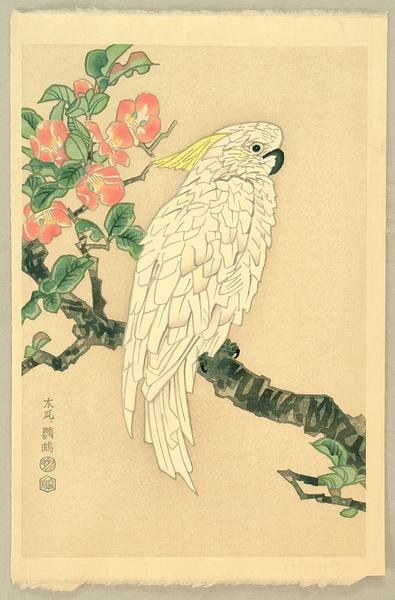 Parrot and Quince
