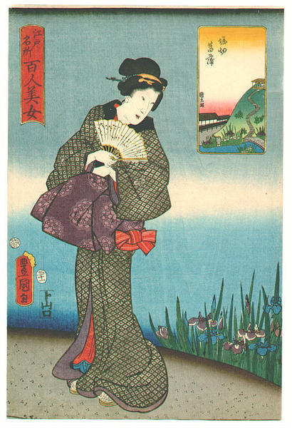 A lady is watching the blooming iris at Horikiri