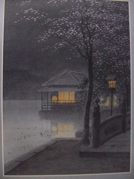 House at night in spring