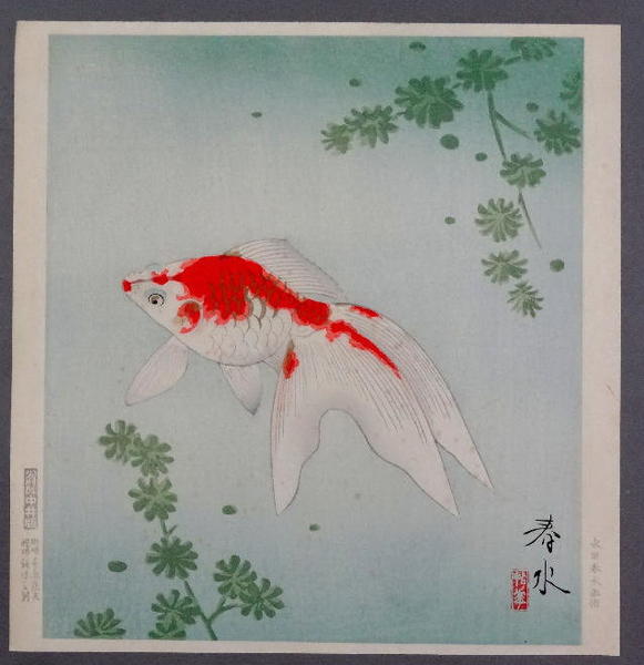 Goldfish