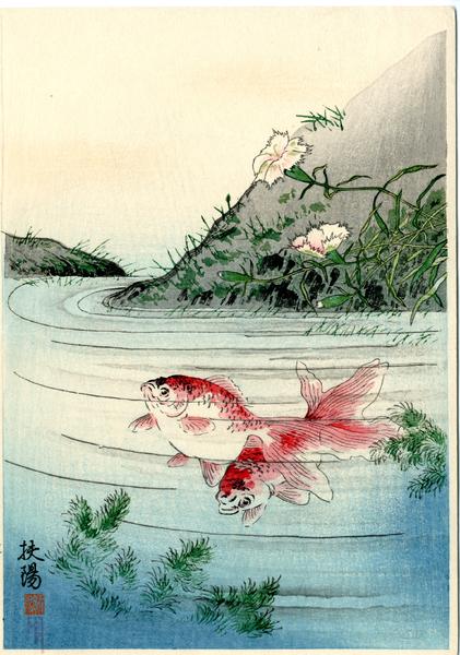 Goldfish