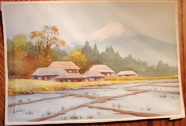 Rice Farm by Mt Fuji