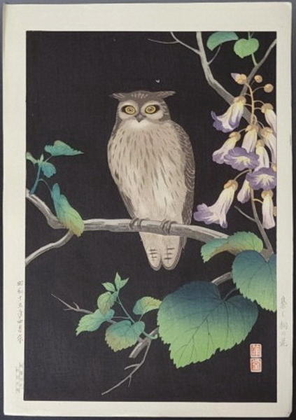 Owl and Paulownia