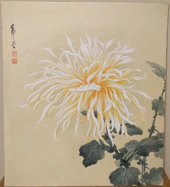 White and Yellow Chrysanthemum