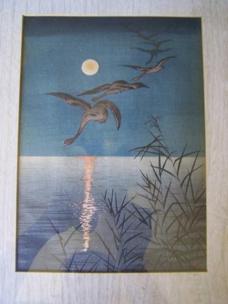 A Flock of Flying Geese