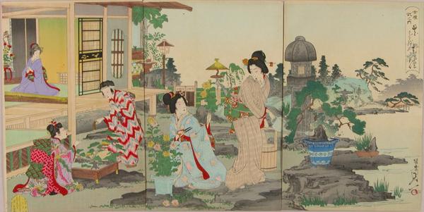 Comparison of flowers, the daily life of the east