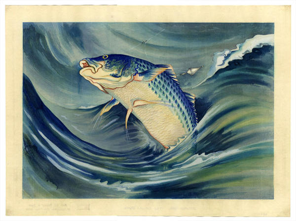 Striped Bass