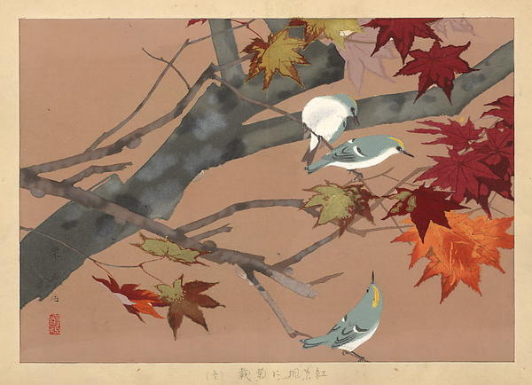 Autumn 2