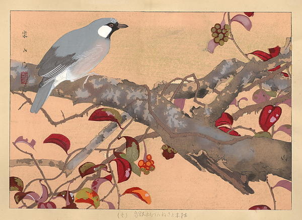 Bird on Branch