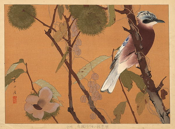 Early Autumn