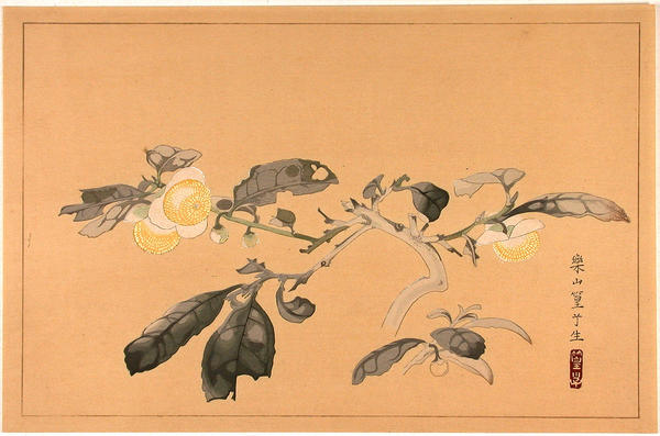 Flower on branch