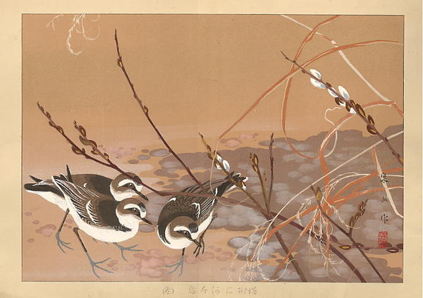 Three Birds