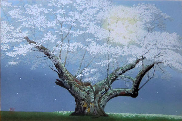 Cherry Blossom Splendour