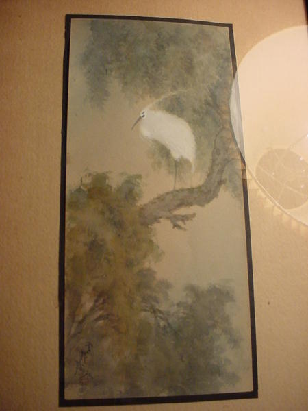 Heron in tree
