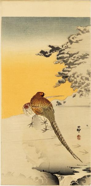 A Pair of Copper Pheasant in Snow