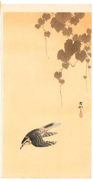 Bird in flight against a yellow sky, ivy leaves above