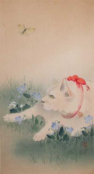 Cat and Butterfly