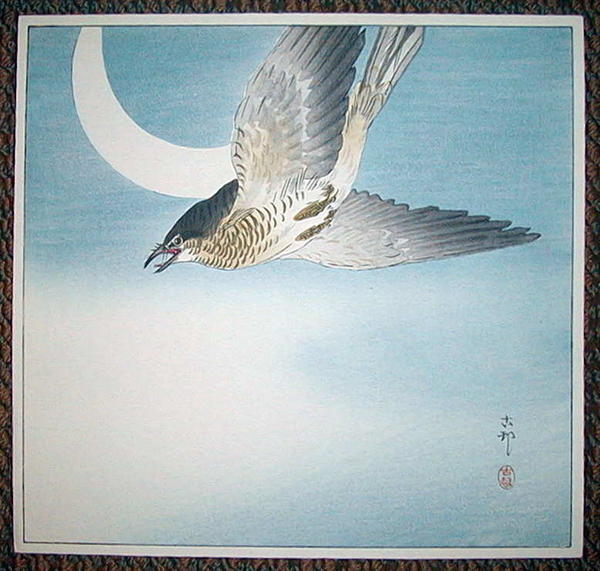 Cuckoo In Flight