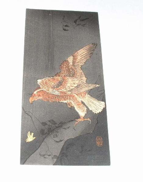 Eagle and prey