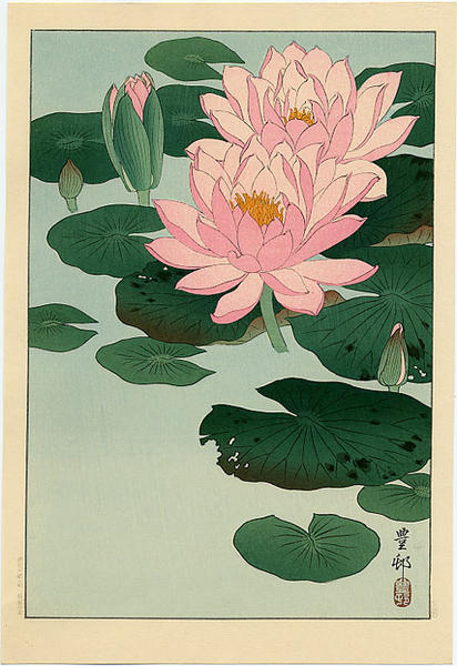 Flowering Water Lilies