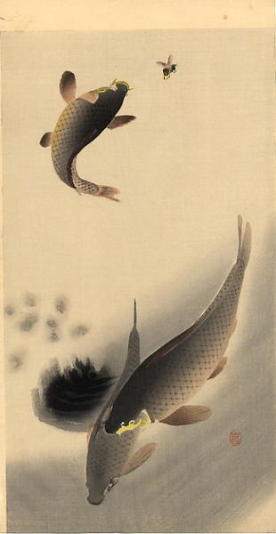 Leaping Carp