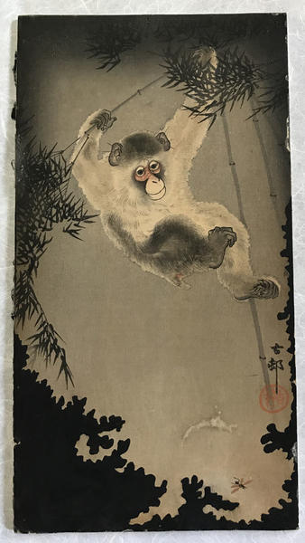 Monkey
