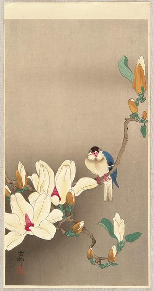 Rice Bird and Magnolia