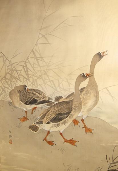 Three Geese
