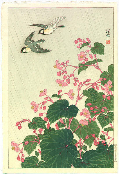 Two Birds and Begonia in Rain
