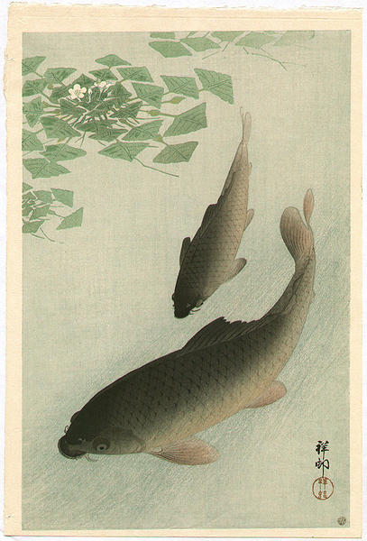 Carp
