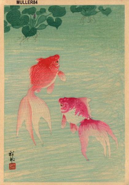 Two Goldfish