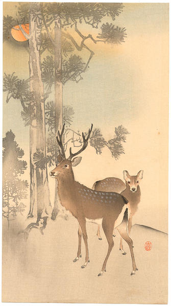 Two deer next to pine trees