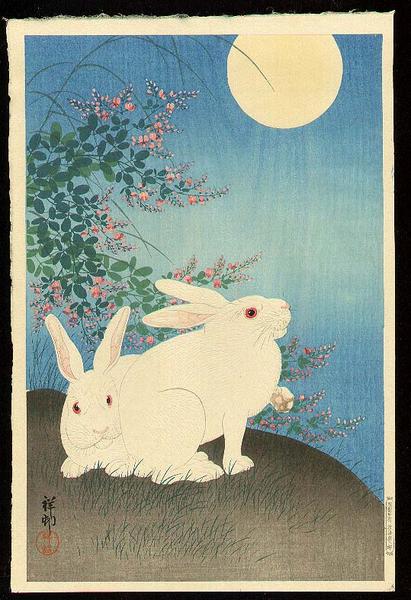 Two rabbits