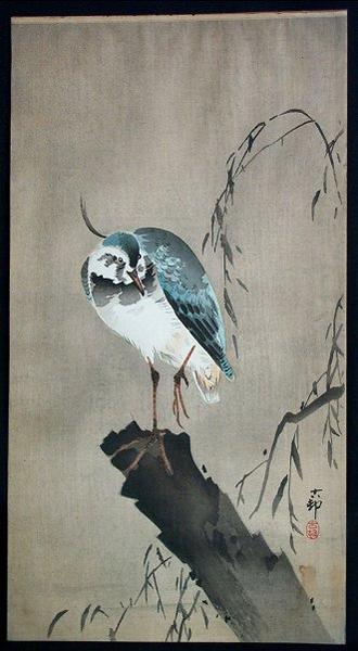 Unknown, bird perched on broken tree