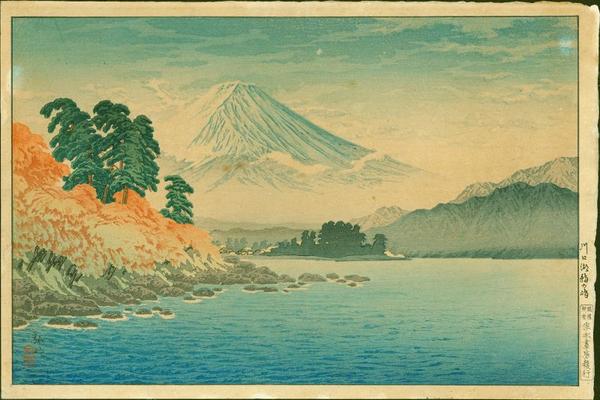 Cormorant Island, Lake Kawaguchi