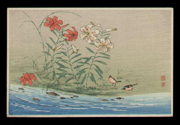 Lily Blossoms