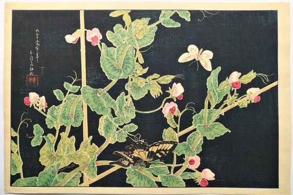 Sweetpeas and Butterflies