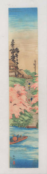 Ferry and cherry blossoms