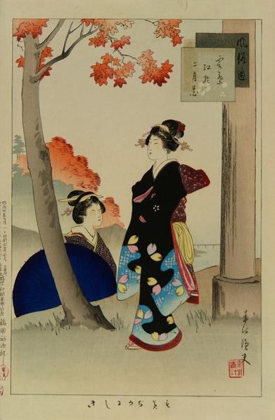 Brocade of autumn leaves
