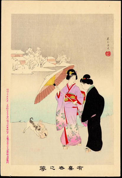 Snow Viewing
