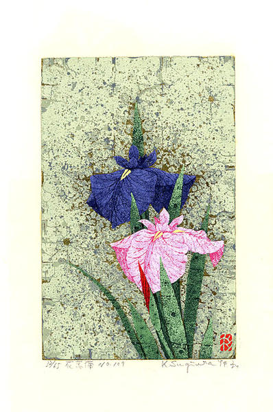 Iris No 109