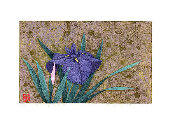 Iris No 134
