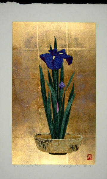 Iris No 72